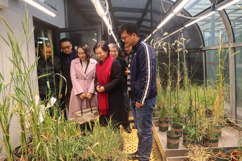 微信图片_20201127092806_副本.jpg