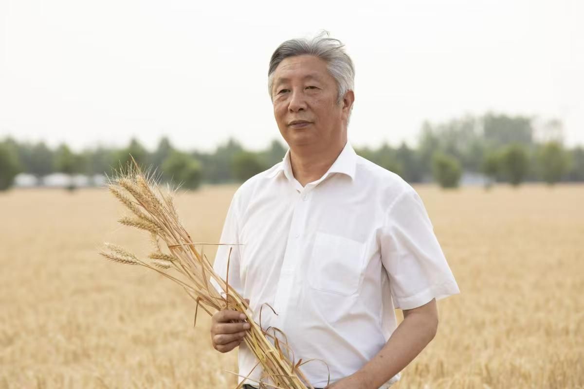 皇冠体育官方网站